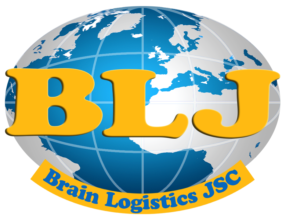 Brain Logistics